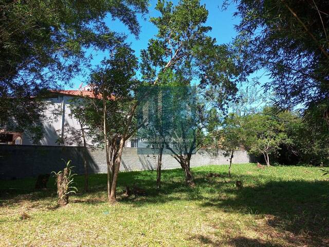 Área para Venda em Florianópolis - 5